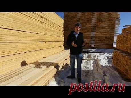 Как выбрать доску.  Как отличить зеленый лес от сухостоя.