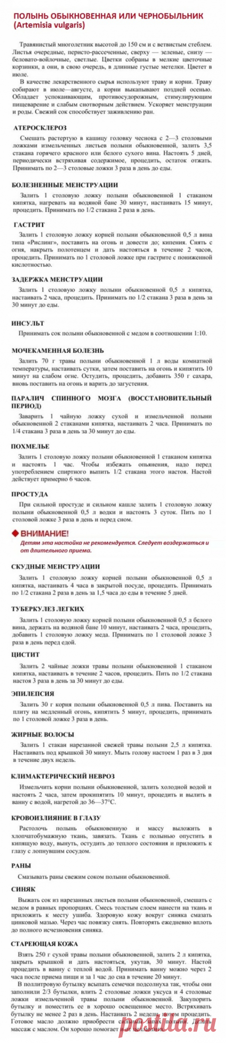 Полынь обыкновенная или чернобыльник.
Травник. Золотые рецепты народной медицины. Универсальный справочник. Москва 2007