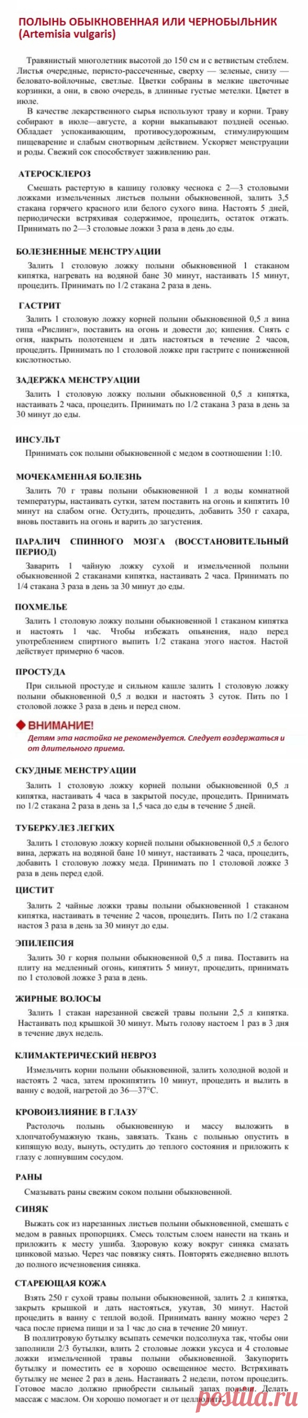 Полынь обыкновенная или чернобыльник.
Травник. Золотые рецепты народной медицины. Универсальный справочник. Москва 2007