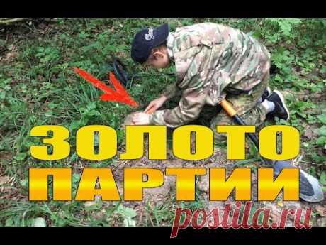 МОНЕТЫ СССР! РАССЫПУХА !!! ПОВЕЗЛО!  СТОЛЬКО МНОГО НАХОДОК В ЛЕСУ! - YouTube