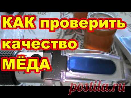 КАК проверить качество МЁДА ! - YouTube