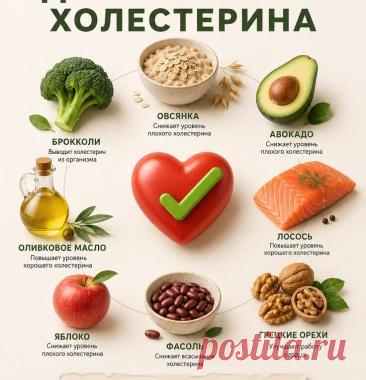 Какими продуктами можно снизить холестерин: полное руководство по питанию