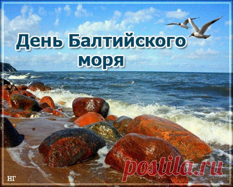 Сегодня праздник море отмечает,
Волна на волну от радости набегает,
Балтийское море, ты богатство наше,
Будь с каждым днём всё краше и краше.
