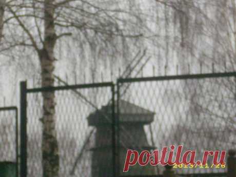 Ветренная мельница