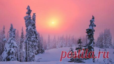Фото №20 альбома ЗИМА Molly Colton. | worldis.me