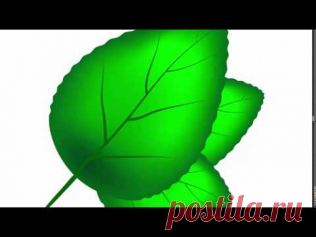 Green leaf - Adobe Illustrator cs6 tutorial. Quick and easy way how to draw green leaf