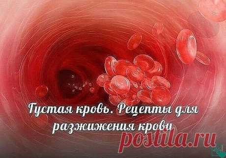 Продукты, помогающие разжижению крови
1. Помидоры препятствуют образованию тромбов в сердечно-сосудистой системе. Оказалось, что помидоры (как и аспирин) способствуют разжижению крови и к тому же (в отличие от аспирина) не дают побочных эффектов.
2. Грибы разжижают кровь, снижают уровень холестерина.
3. Разжижению крови помогают также ягоды клюквы, калины, облепихи. Чеснок обладает способностью разжижать кровь. Артишок помогает понижению вязкости крови и холестерина. В нар...