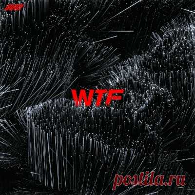 Julian Wassermann, Jamal Dilmen, Philipp Johann Thimm - WTF
