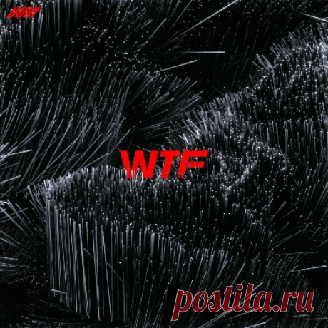 Julian Wassermann, Jamal Dilmen, Philipp Johann Thimm - WTF