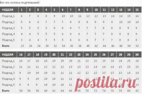Подтягивания: правила и схема тренировки / Понимание бизнеса