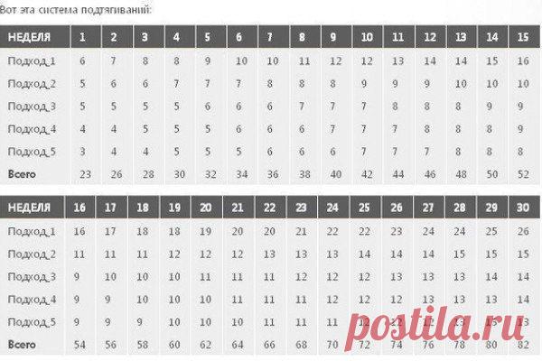 Подтягивания: правила и схема тренировки / Понимание бизнеса
