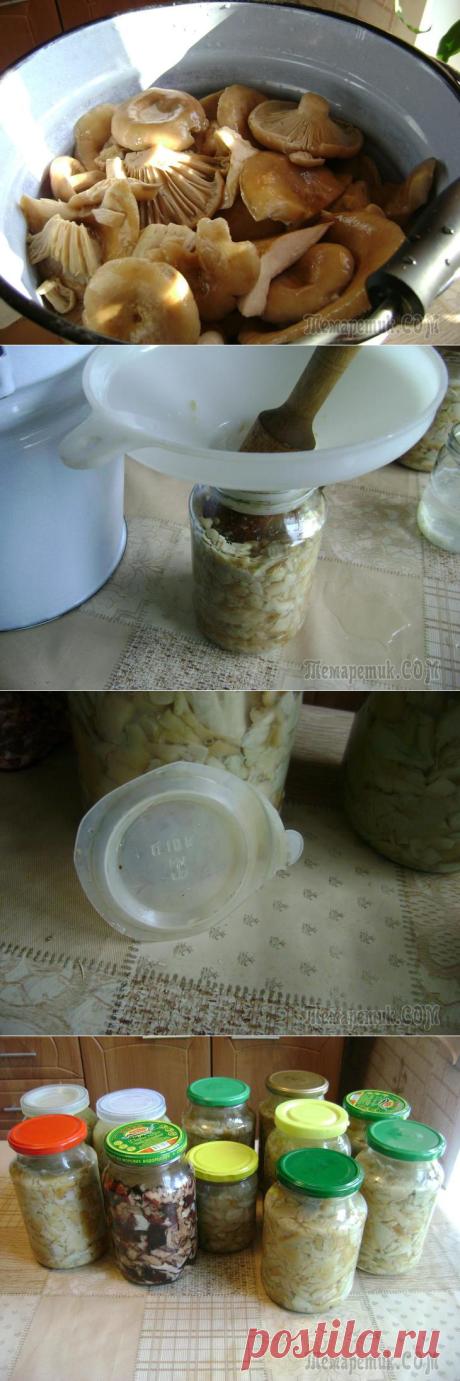 Соление грибочков