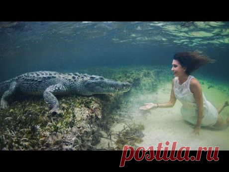 Omigu » Snap Shot: Model Poses Underwater Inches From Deadly Crocodiles