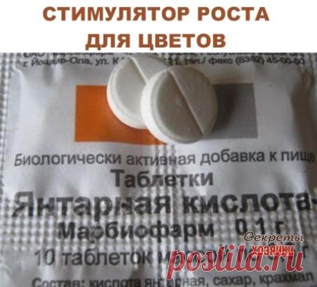 (67) Одноклассники