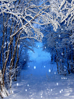 1098436.gif (240×320)