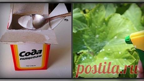 (10) Одноклассники