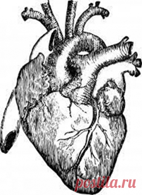 Сердце отказывает: как по пяти признакам, это можно понять. | Сергей Витебский | Дзен