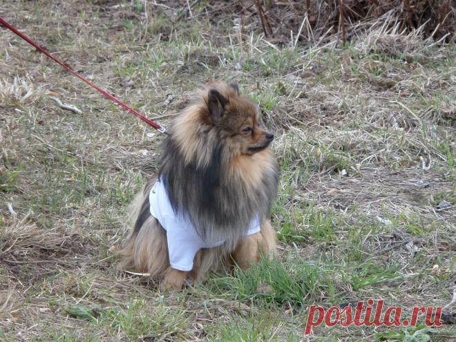 я какаю,не подсматривайте