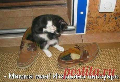 Ирина Полхович - в Кругу Друзей - социальная сеть