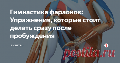 Гимнастика фараонов: Упражнения, которые стоит делать сразу после пробуждения В этой статье вы узнаете несколько пробуждающих и стимулирующих упражнений, которые можно выполнять не вставая с постели, а также они помогут вам чувствовать себя бодро на протяжении всего дня.