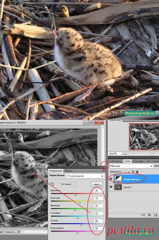 ВСЕ ДЛЯ ФОТОШОПА | Записи в рубрике ВСЕ ДЛЯ ФОТОШОПА | МОЯ СТРАНИЧКА ОБО ВСЕМ НА СВЕТЕ..ПРИТОРМОЗИТЕ ОВАЦИИ - ЭТО НАЧАЛО ФУГИ...