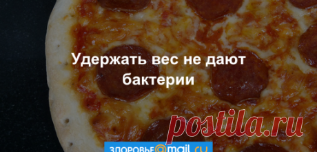 Ильсюяр Альмухаметова - Заинск, Татарстан, Россия, 65 лет на Мой Мир@Mail.ru