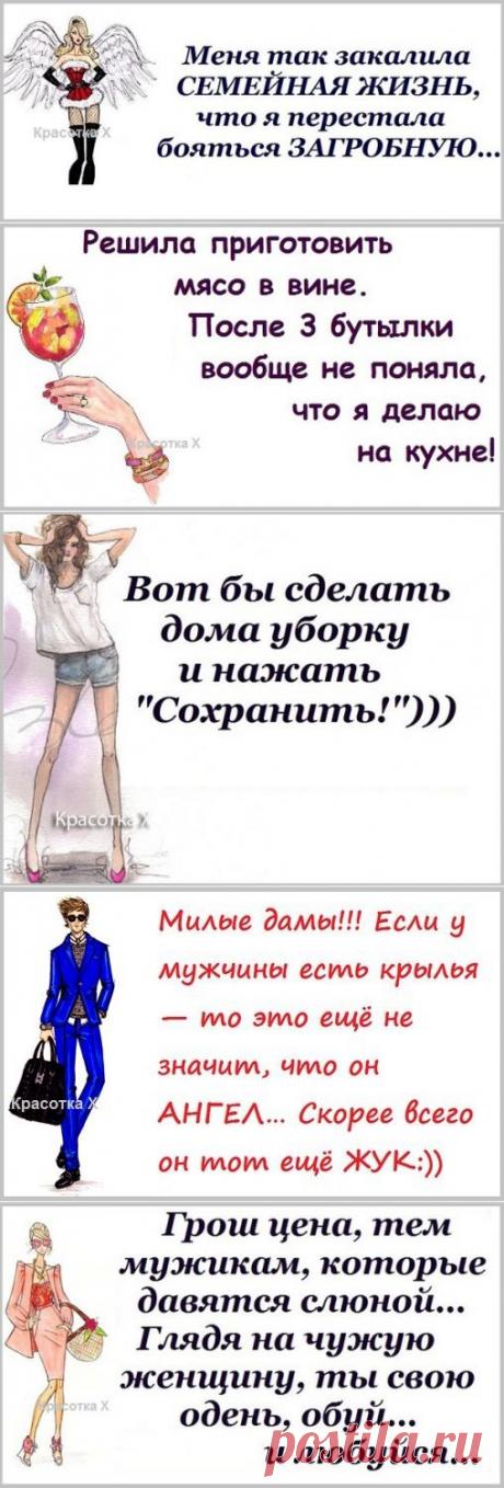 юмор в коротких штанишках - Самое интересное в блогах