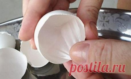 Исцеляющие свойства яйца, о которых вы не знали - Русские Афины | Новости Греции Готовите яичницу, а скорлупу попросту выбрасываете? Ну и зря! А ведь мало кто знает, что прямо под скорлупой находится тонкая белая пленка, подскорлуп...