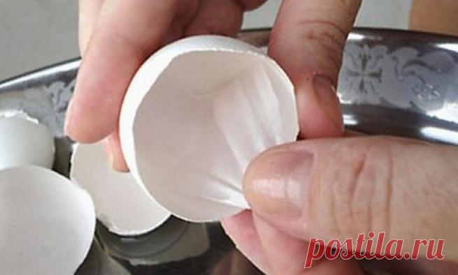 Исцеляющие свойства яйца, о которых вы не знали - Русские Афины | Новости Греции Готовите яичницу, а скорлупу попросту выбрасываете? Ну и зря! А ведь мало кто знает, что прямо под скорлупой находится тонкая белая пленка, подскорлуп...