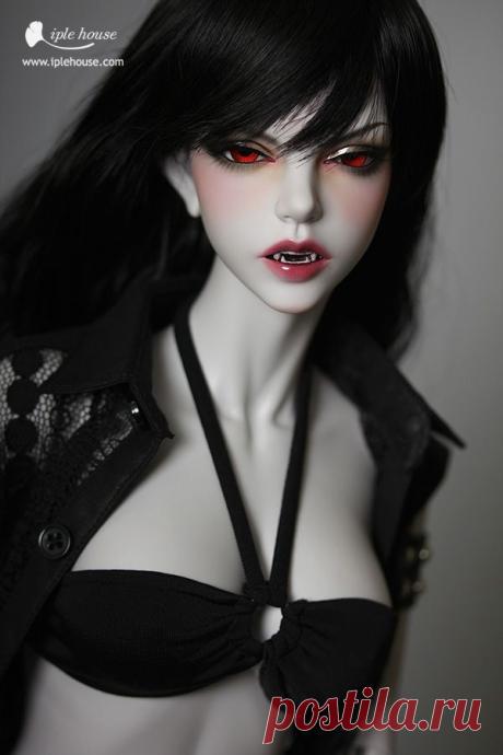 IPLE BJD