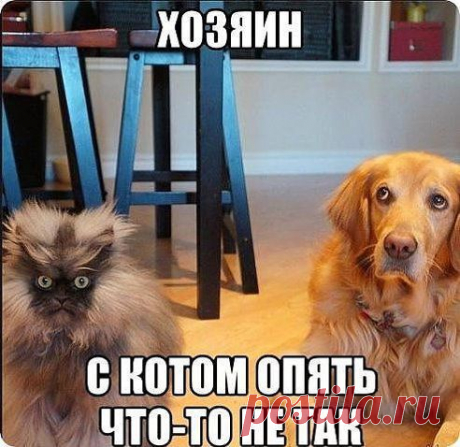 Романтика™. Добавлена фотография в альбом ★♥° На позитиве ★♥°