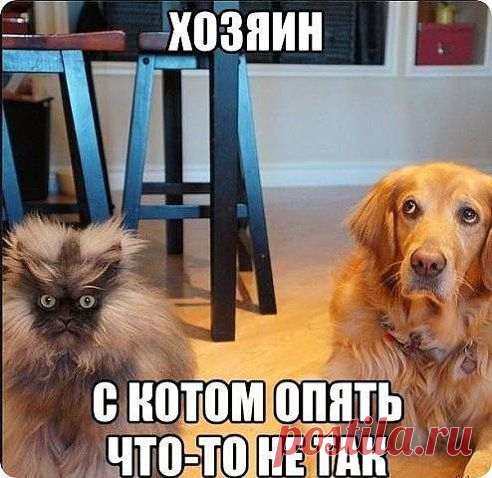 Романтика™. Добавлена фотография в альбом ★♥° На позитиве ★♥°