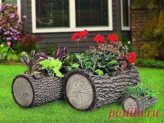 В умелых руках и пень зацветёт