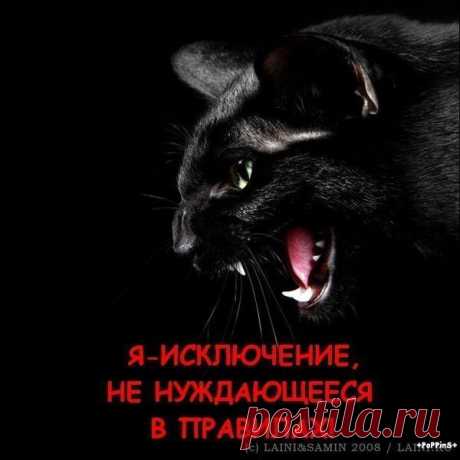Мой Мир@Mail.Ru