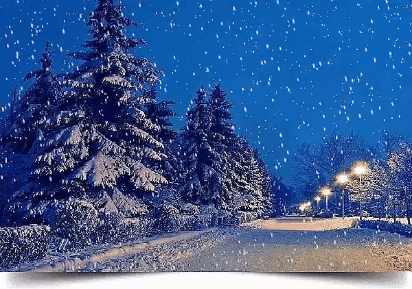 (4) Григорий * - Лилль, Франция на Мой Мир@Mail.ru