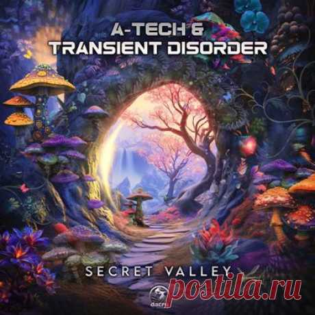 A-tech, Transient Disorder - Secret Valley