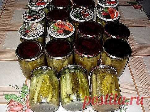 (66) Одноклассники