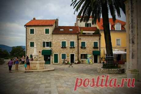 (4) Olga Vasilevskaya
Herceg Novi