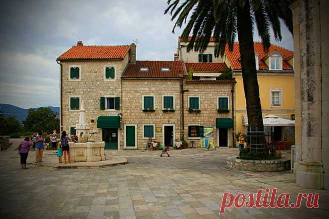 (4) Olga Vasilevskaya
Herceg Novi