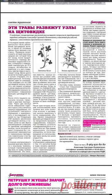 Навстречу Солнцу — LiveJournal