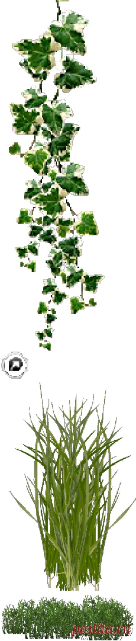 Яндекс.Фотки