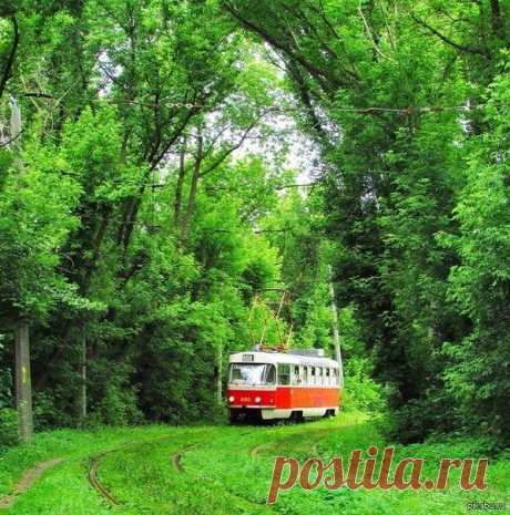 Новости.
Путешествие на трамвае в Санкт_Петербурге