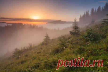 Туманы в Карпатах | ФОТО НОВОСТИ