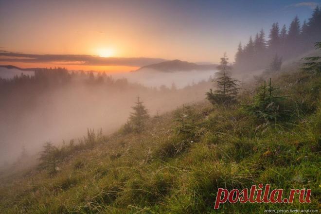 Туманы в Карпатах | ФОТО НОВОСТИ