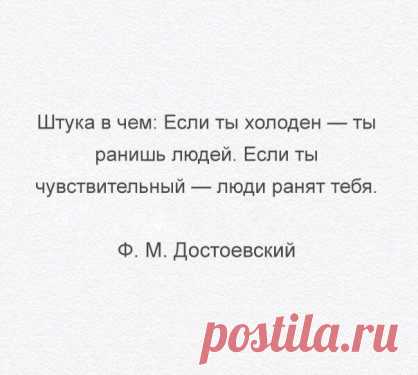 В точку! Замечательные цитаты / Писец - приколы интернета