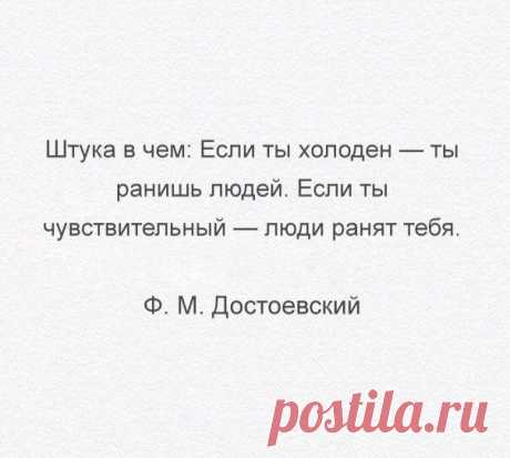 В точку! Замечательные цитаты / Писец - приколы интернета