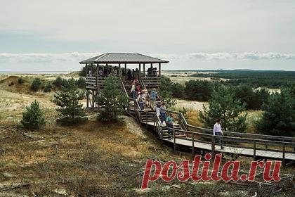 На Куршской косе открылась площадка для наблюдения за птицами. В национальном парке «Куршская коса» в Калининградской области открылась смотровая площадка для наблюдения за птицами, которая будет доступна для людей с ограниченными возможностями. Площадка длиной в 30 метров, шириной в четыре метра и высотой в девять метров оборудована пандусом для инвалидных колясок.
