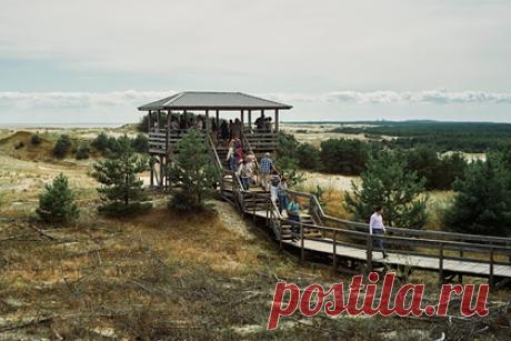 На Куршской косе открылась площадка для наблюдения за птицами. В национальном парке «Куршская коса» в Калининградской области открылась смотровая площадка для наблюдения за птицами, которая будет доступна для людей с ограниченными возможностями. Площадка длиной в 30 метров, шириной в четыре метра и высотой в девять метров оборудована пандусом для инвалидных колясок.