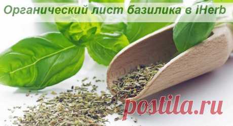 Качество просто замечательное у сухого базилика от iHerb...
Любимая пряная травка - душистая, ароматная и очень полезная пришла в традиционном вакуумном пакете Starwest Botanicals - объем просто огромный, но поскольку эта пряность идет у нас практически везде ( бульоны, гарниры, мясо, рыба, птица, маринады, овощи, салатные заправки и дрессинги, напитки - холодные и горячие ) мы нисколько не расстроились - всё уйдет довольно быстро.