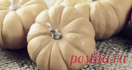 Тыква - это однолетнее растение, относящееся к семейству огуречных. В природе она встречается только в очень жарком климате.